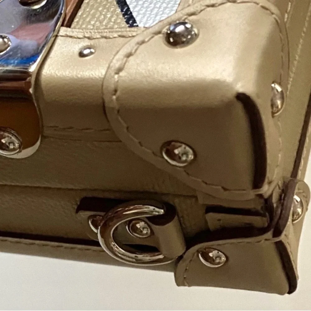 Louis Vuitton Petite Malle bag